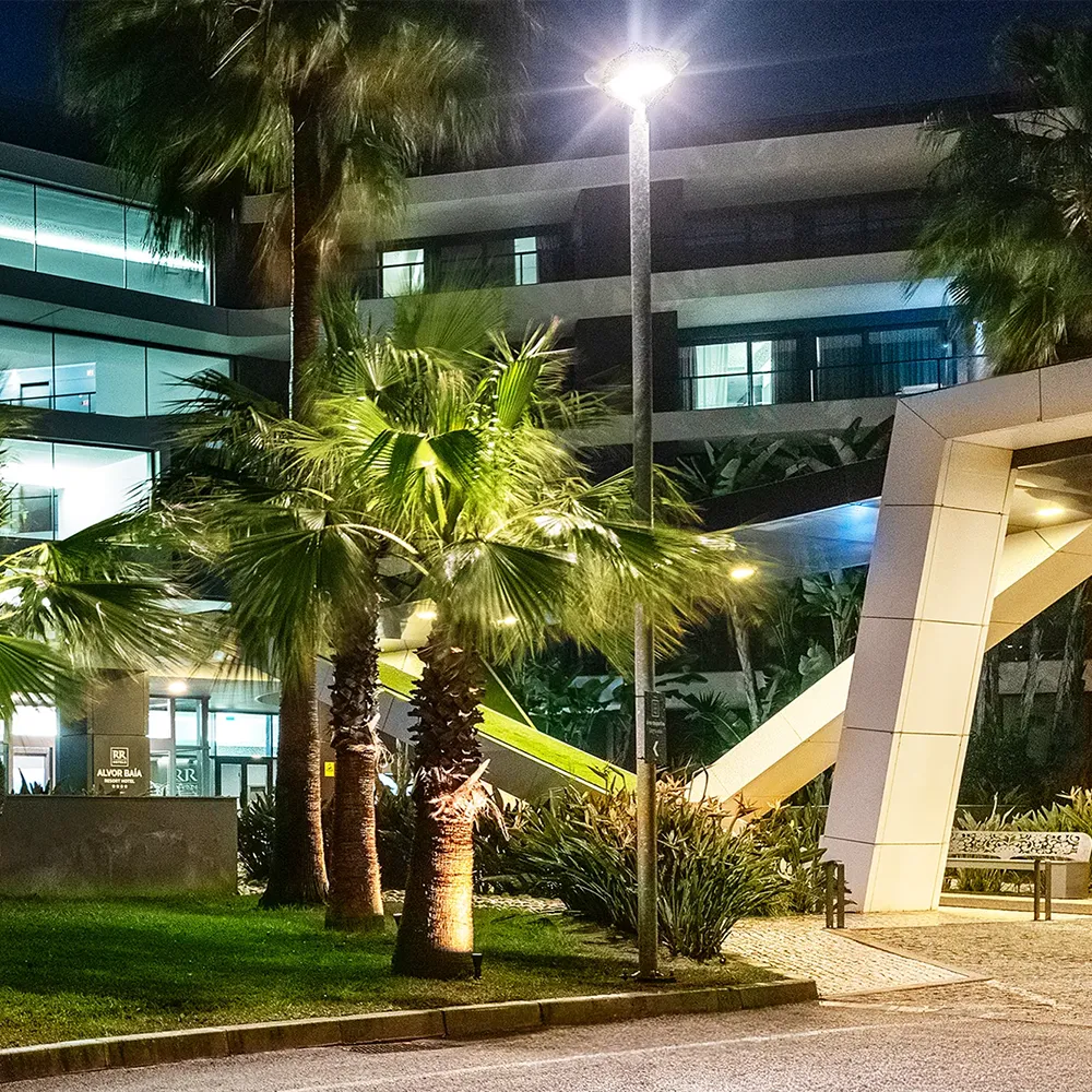 Entrance to Alvor Baía Resort Hotel at night, surrounded by illuminated palm trees and gardens.