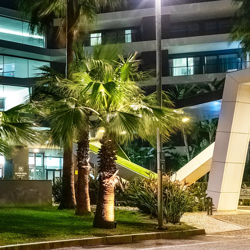 Entrance to Alvor Baía Resort Hotel at night, surrounded by illuminated palm trees and gardens.