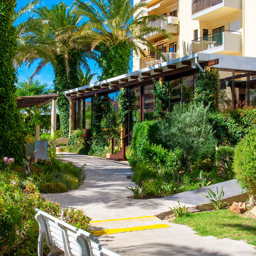Allée bordée de palmiers dans les jardins du resort